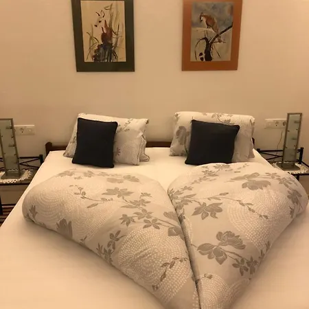 Apartment Nagiller *