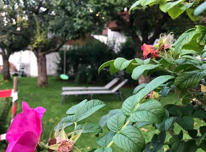 Nagiller 아파트 Rinn