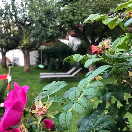 Nagiller Διαμέρισμα Rinn